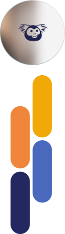 Elementos visuais da marca Cxpress